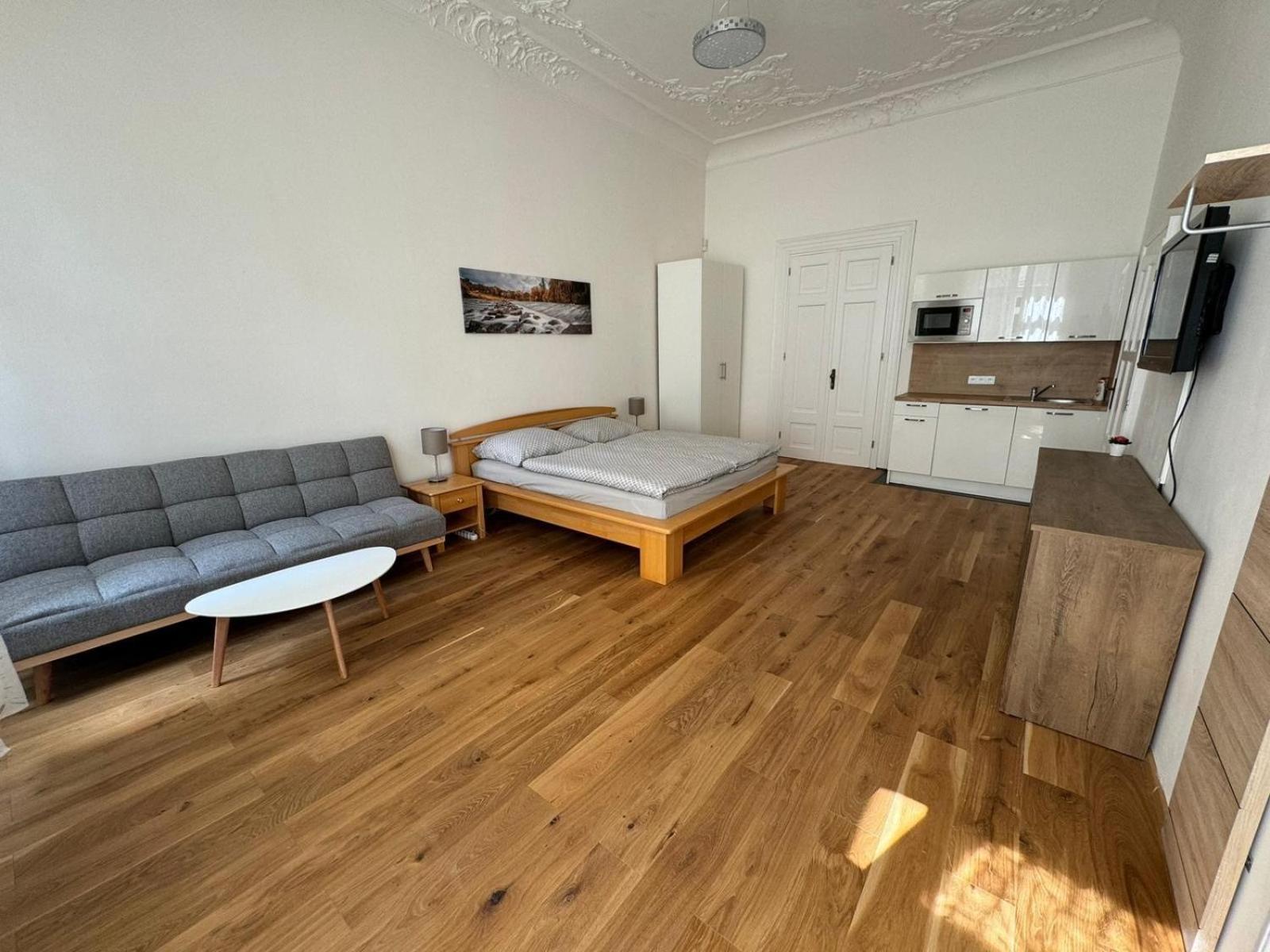 Palackeho Apartment