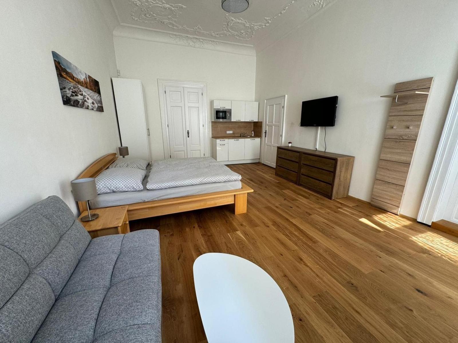 Palackeho Apartmán *